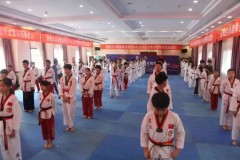 中国跆拳道协会段位考试培训班（濮阳站）成功举办